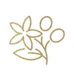 flowers icon